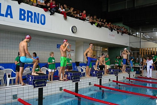 brno cup