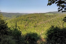 Pod Olešnou na území Blanska byla vyhlášena nová přírodní rezervace Nad Švédskou cestou